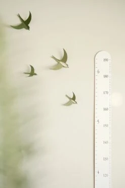 Abricotine Échelle De Croissance Blanche -Bébés Produits Boutique abricotine echelle de croissance blanche 2