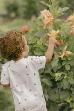 Petit Lem Romper Short Abeilles -Bébés Produits Boutique petit lem romper short abeilles 3